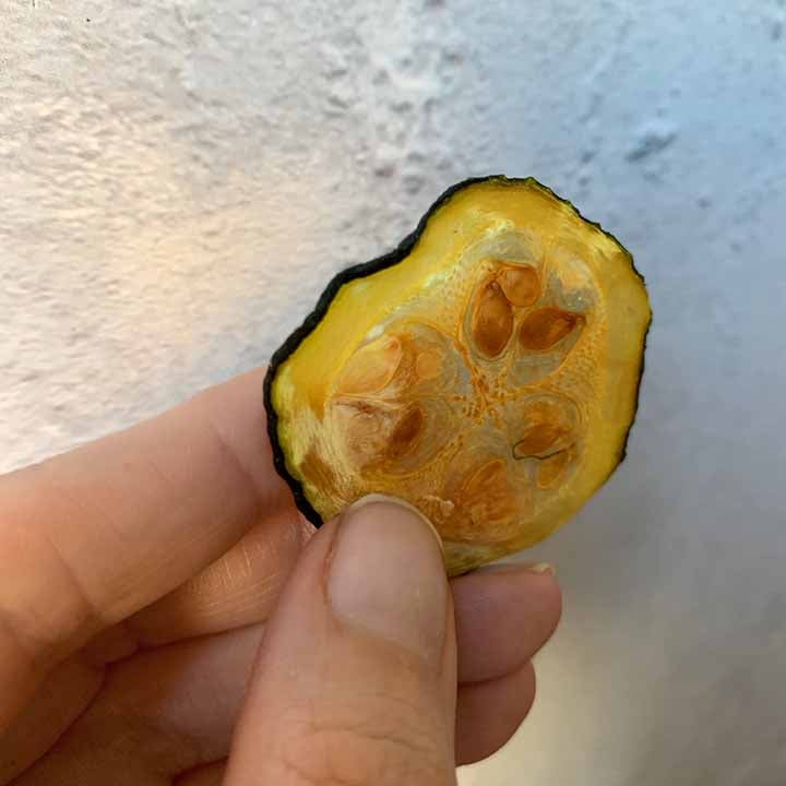 a hand holds a crispy low carb zucchini chip