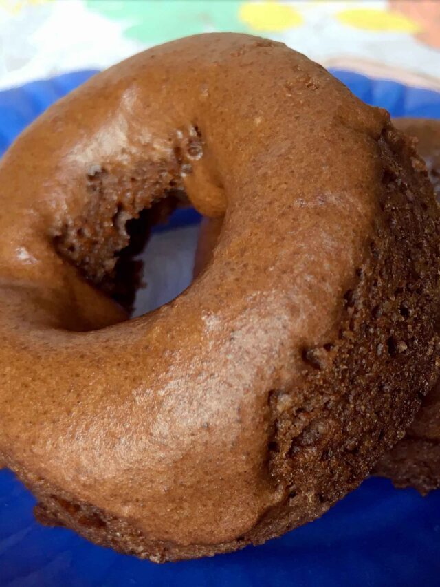 LOW CARB KETO DOUBLE CHOCOLATE DONUTS STORY