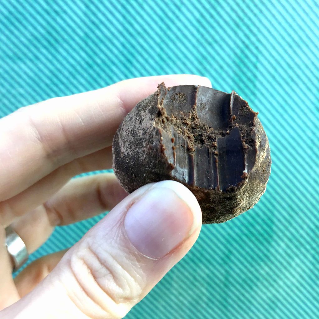 a hand holds a Keto chocolate truffle