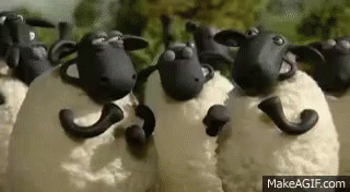 a gif of celebrating sheep who love Gluten Free Swiss Rolls
