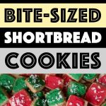 Pinterest Pin for Low Carb Cookie Bites