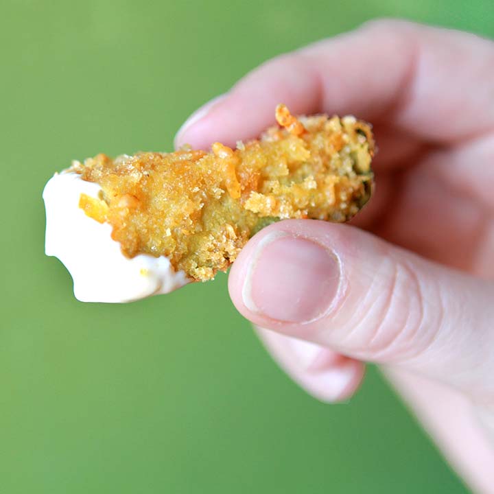 a hand holds a paleo fried pickle