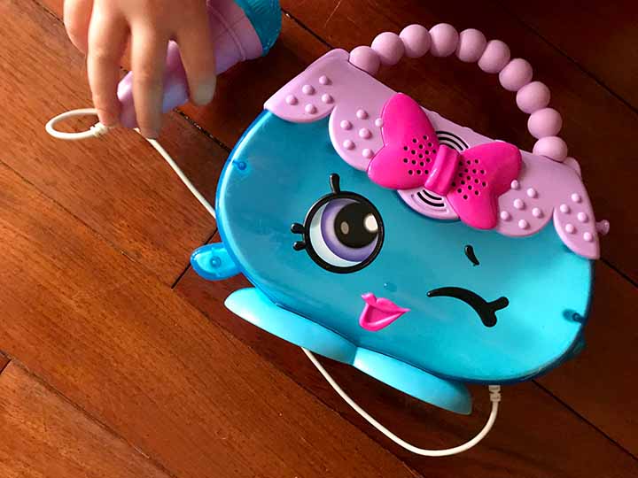 Purse Toy
