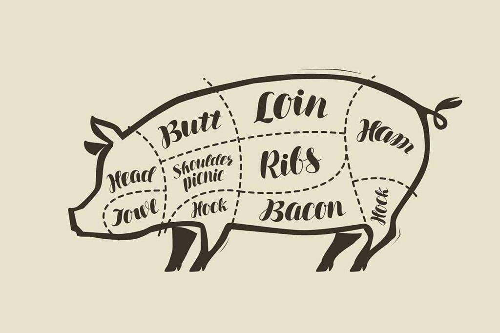 pig diagram