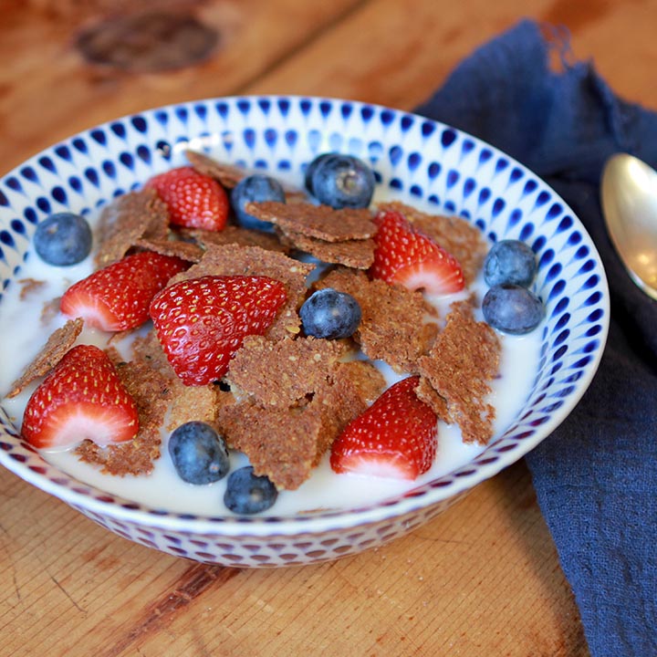 Healthy Keto Bran Flakes Cereal