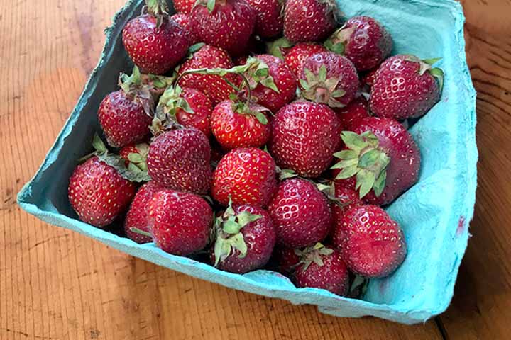 A green carton of fresh farmer's market strawberries