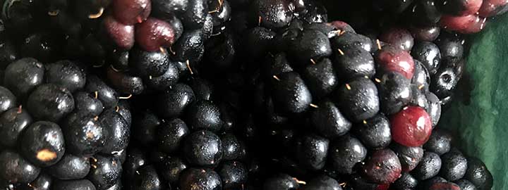 close up image of strawberries, blueberries and blackberries
