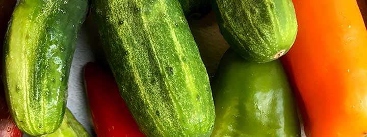 close up image of cucumbers and red, orange and green bell peppers
