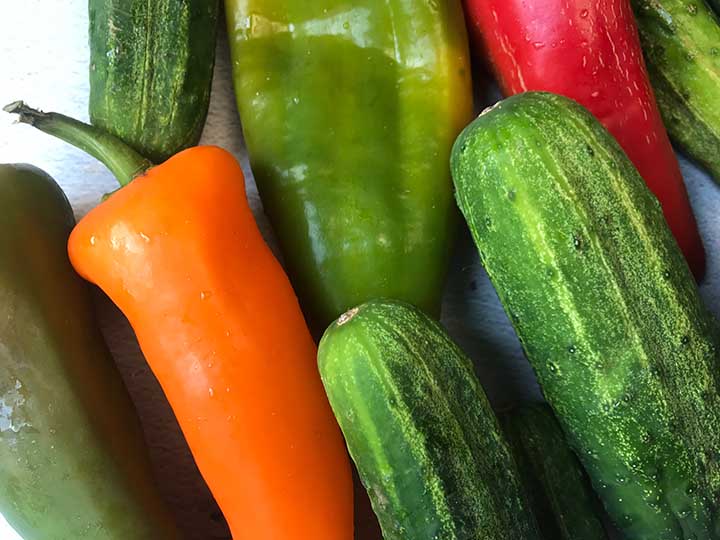 close up image of cucumbers and red, orange and green bell peppers