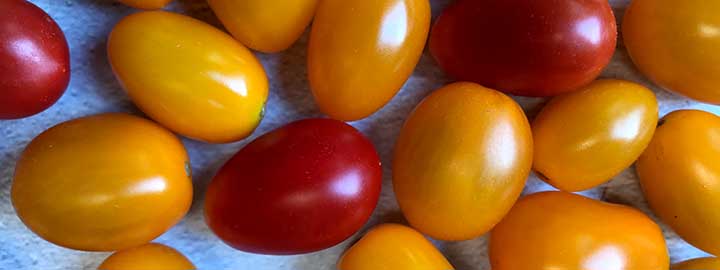 close up image of red and yellow grape tomatoes
