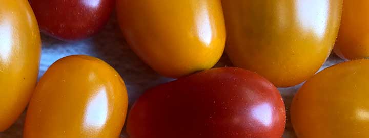 close up image of red and yellow grape tomatoes