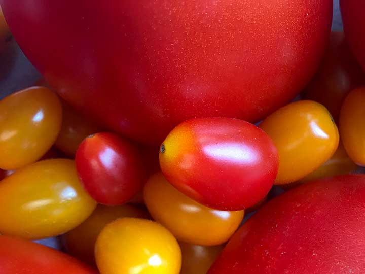close up image of red and yellow grape tomatoes