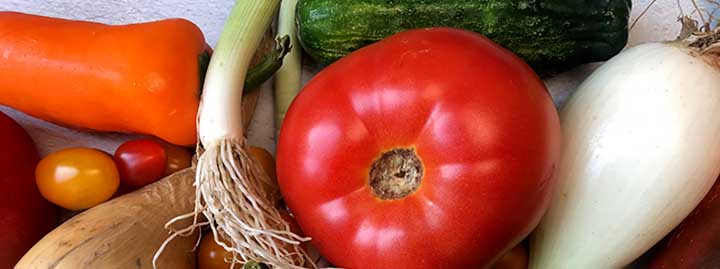 close up image of a tomato, bell peppers cucumbers and green onions