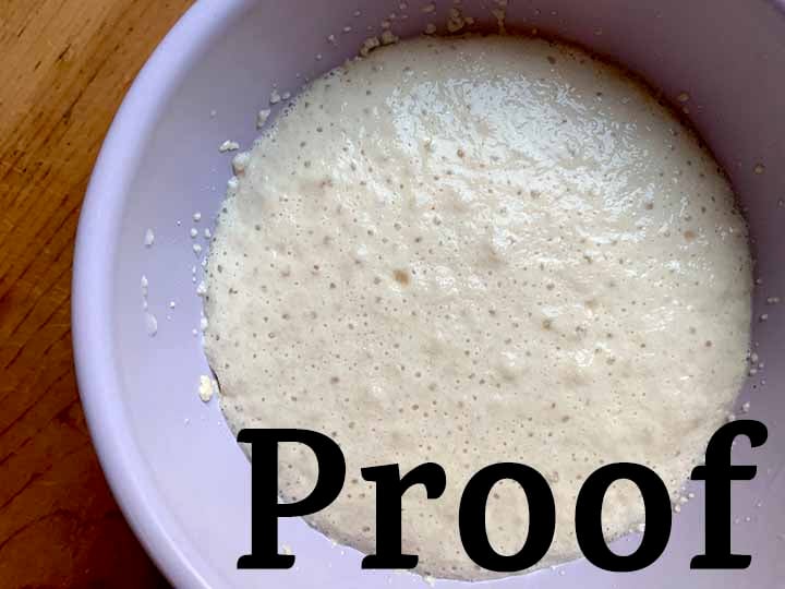 step 2 proof yeast
