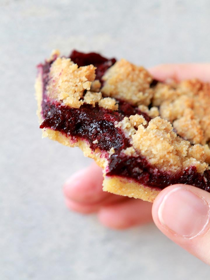 a hand holds a sugar-free blueberry bar