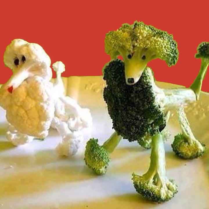 two dogs made out of broccoli and cauliflower