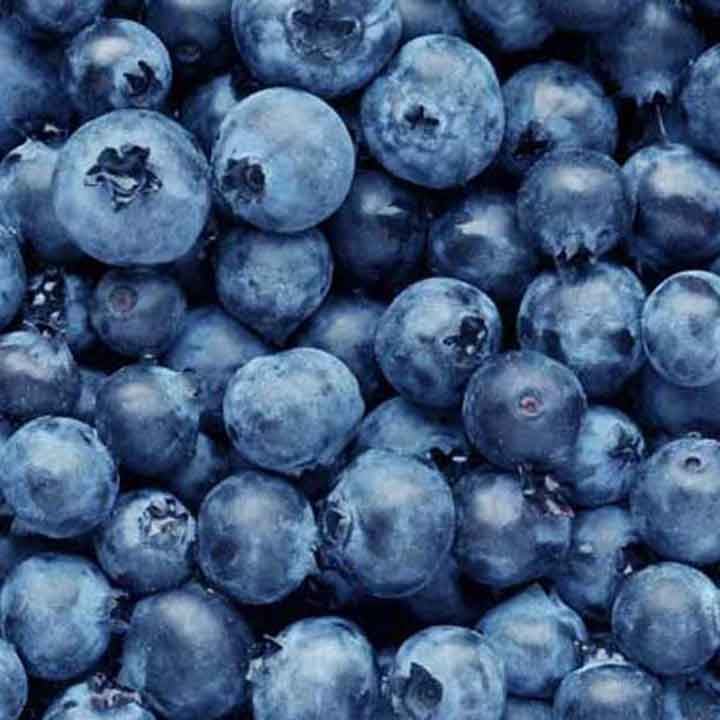 close up of blueberries