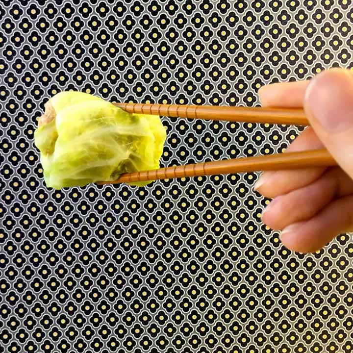 a hand holds a Pork Filled Cabbage Dumpling