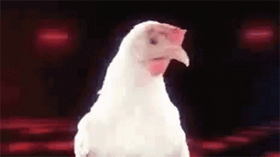 a gif of a disco chicken spinning