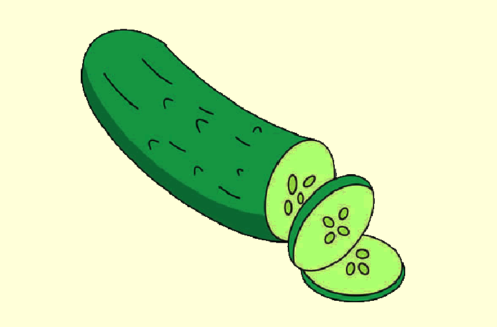 a drawing of a sliced cucumber