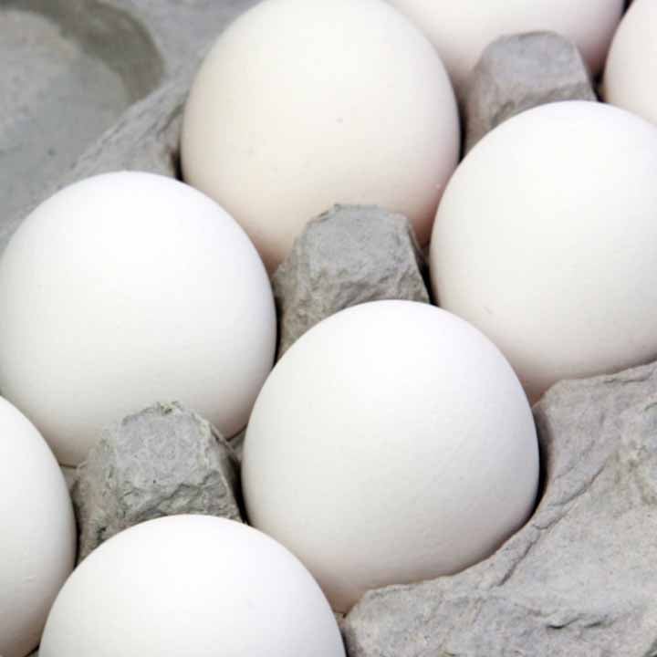 eggs