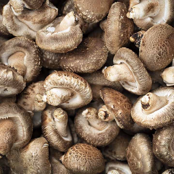 mushrooms