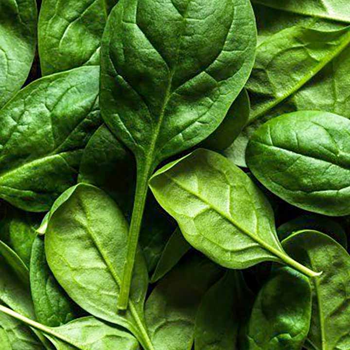 spinach leaves