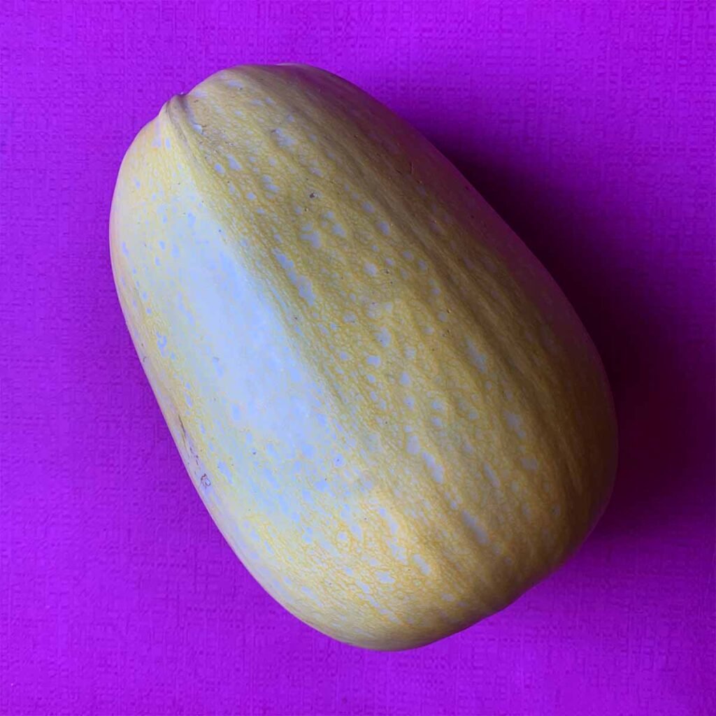 a spaghetti squash against a pink background 10 easy Keto Instant Pot Recipes