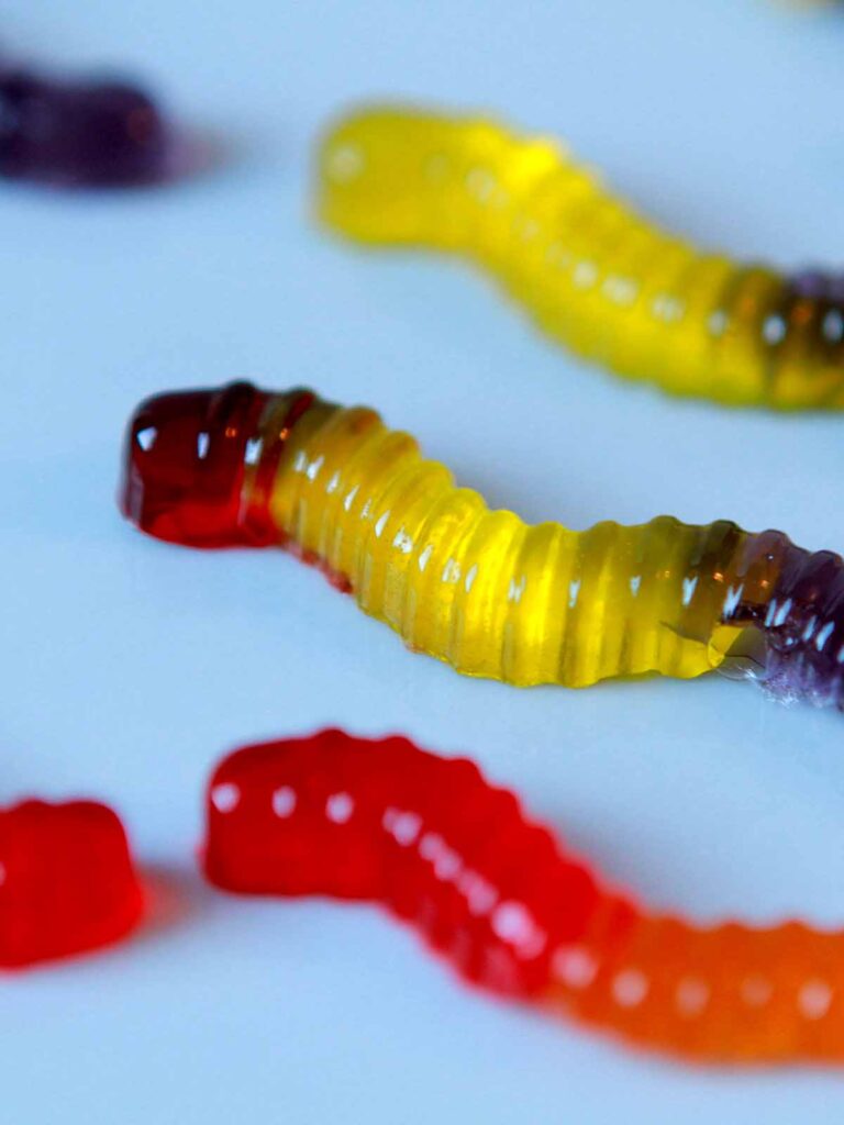 worms on a plate