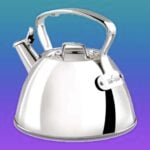 stainless steel tea kettle