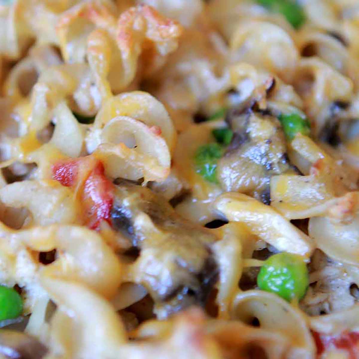 a close-up of Keto tuna noodle casserole.